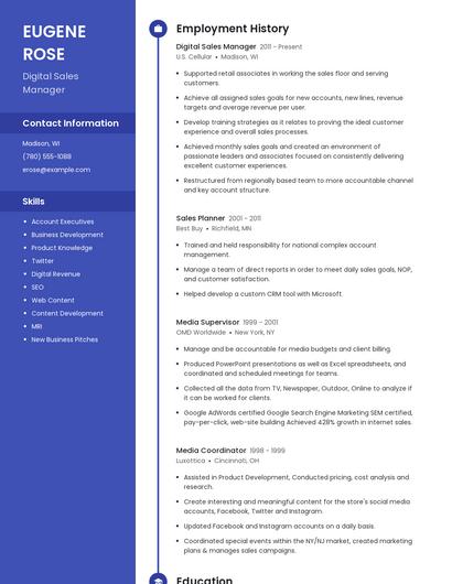 Digital Sales Manager Resume
