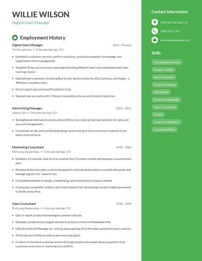 Digital Sales Manager Resume