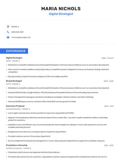 Digital Strategist Resume