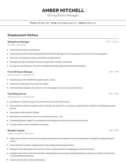 Resume example 2