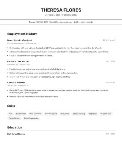 Resume example 2