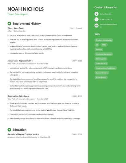 Resume example 5