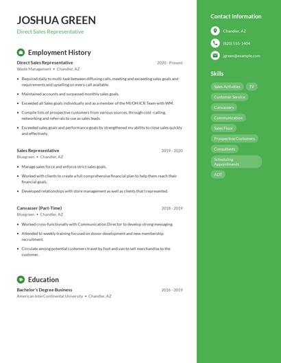 Direct Sales Representative Resume