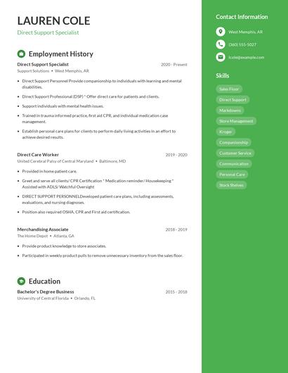 Resume example 4