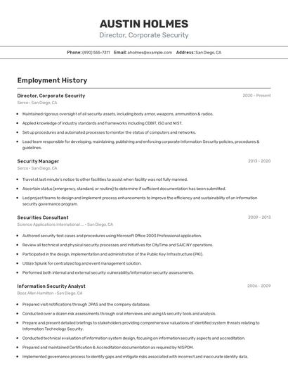 Director, Corporate Security Resume