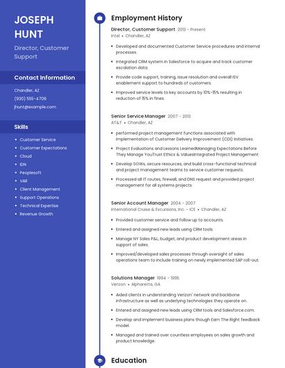 Director, Customer Support Resume