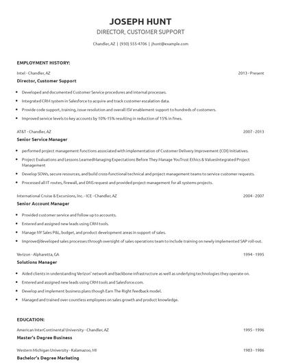 Director, Customer Support Resume