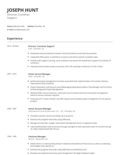 Director, Customer Support Resume