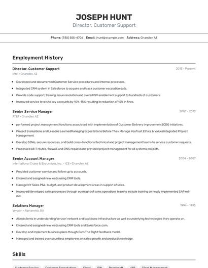 Director, Customer Support Resume