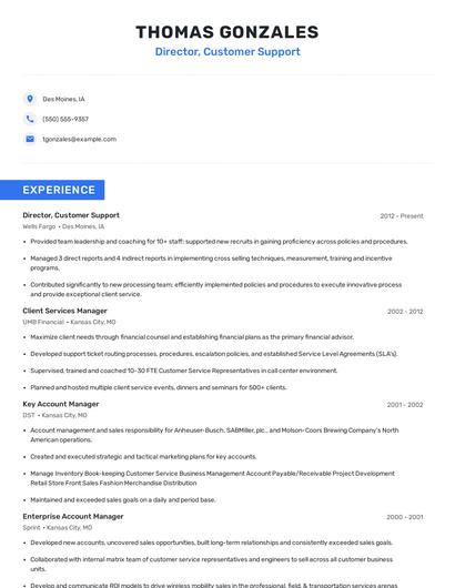 Director, Customer Support Resume
