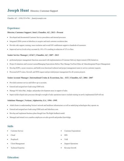 Director, Customer Support Resume