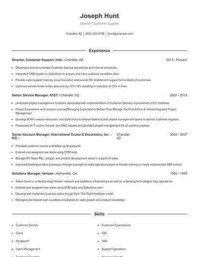 Director, Customer Support Resume