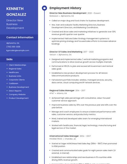 Director New Business Development Resume