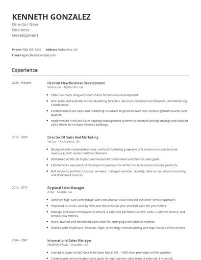 Director New Business Development Resume