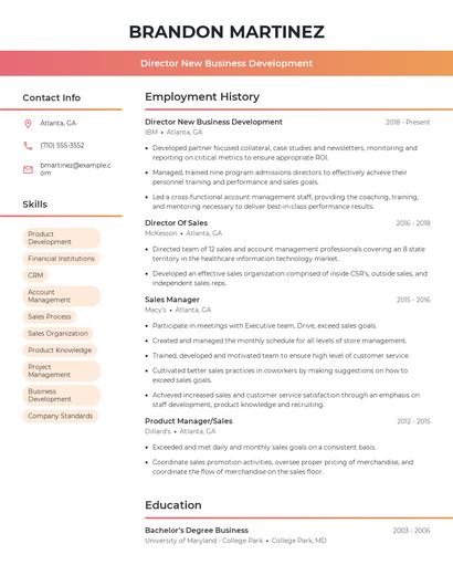 Director New Business Development Resume