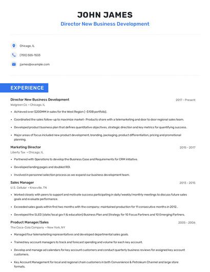 Director New Business Development Resume