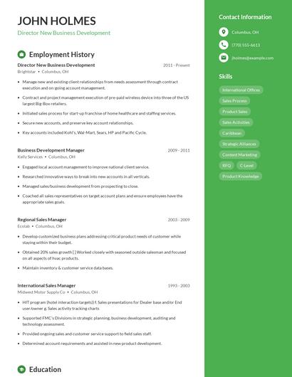 Director New Business Development Resume