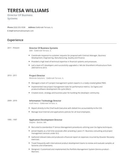 Director Of Business Systems Resume