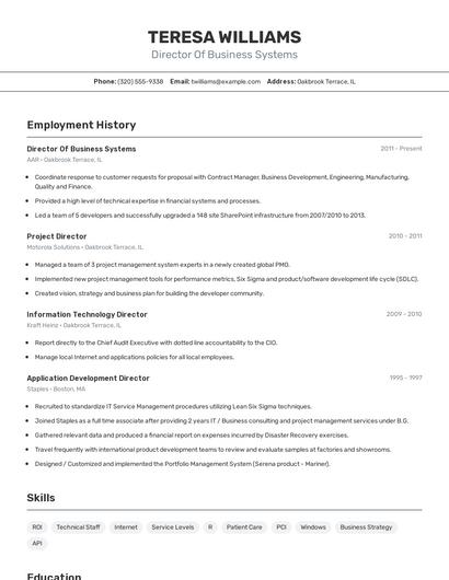 Director Of Business Systems Resume