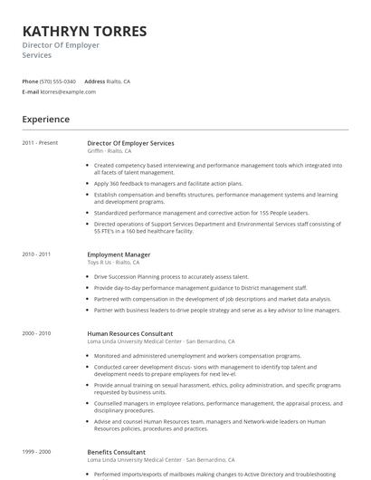 Director Of Employer Services Resume