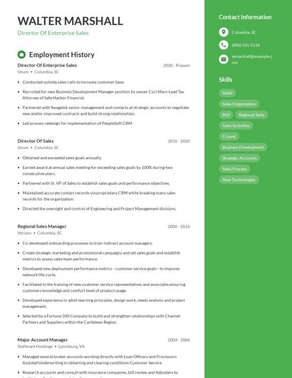 Director Of Enterprise Sales Resume