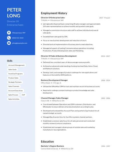 Director Of Enterprise Sales Resume