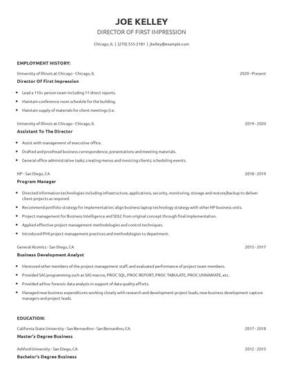 Director Of First Impression Resume
