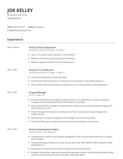 Director Of First Impression Resume