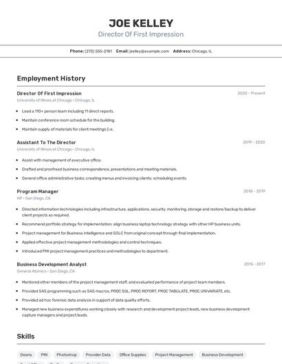 Resume example 2