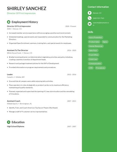 Director Of First Impression Resume