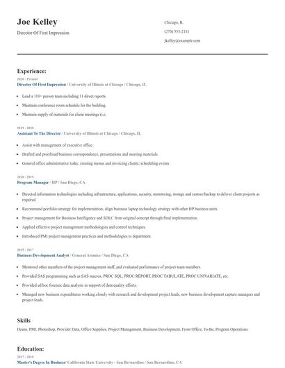 Director Of First Impression Resume