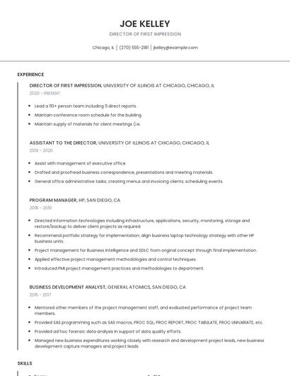 Director Of First Impression Resume
