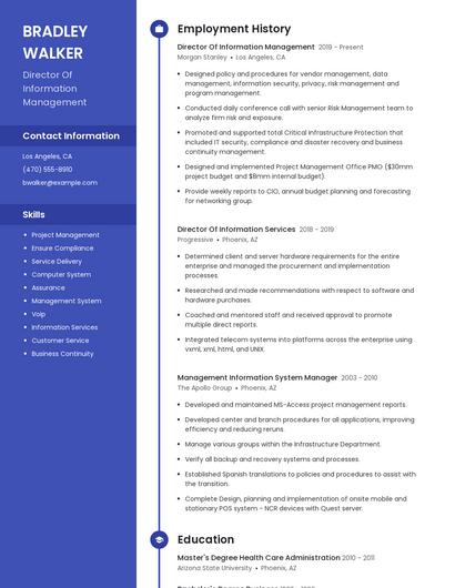 Director Of Information Management Resume