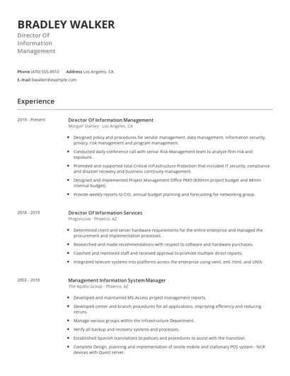 Director Of Information Management Resume