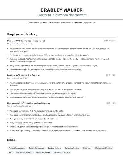 Director Of Information Management Resume