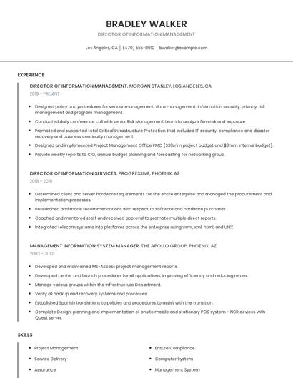 Director Of Information Management Resume