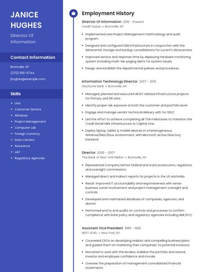 Director Of Information Resume