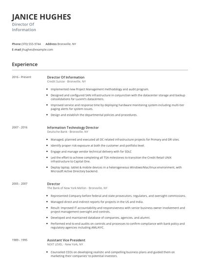 Director Of Information Resume