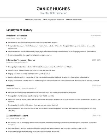 Director Of Information Resume