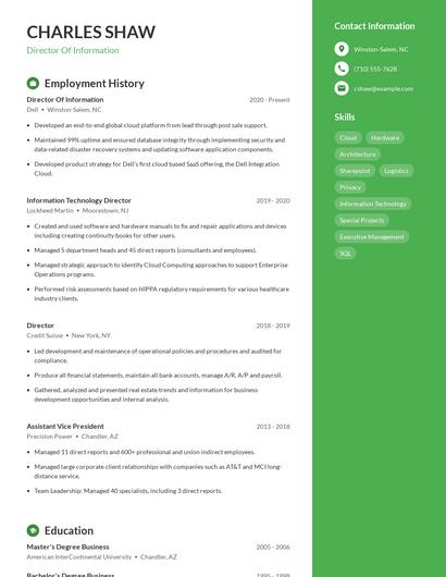 Director Of Information Resume