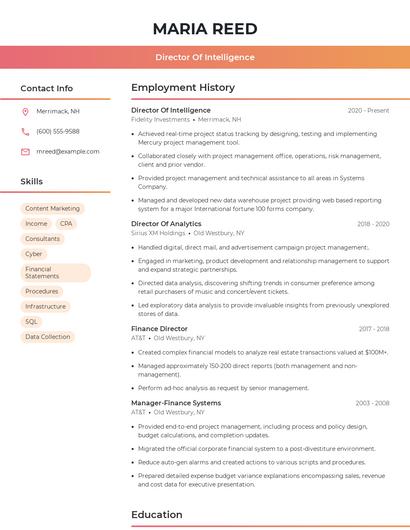 Director Of Intelligence Resume