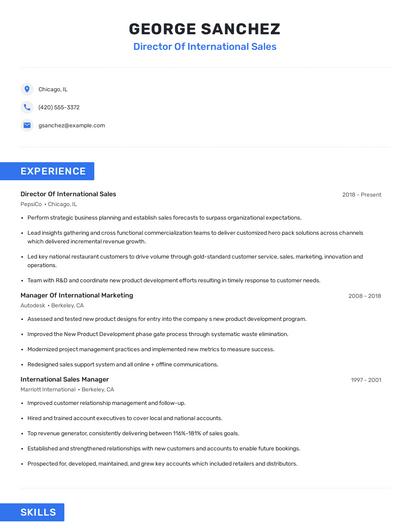 Director Of International Sales Resume