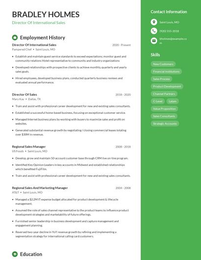 Director Of International Sales Resume