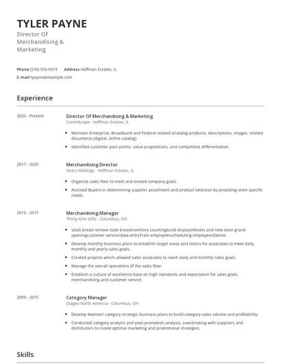 Director Of Merchandising & Marketing Resume