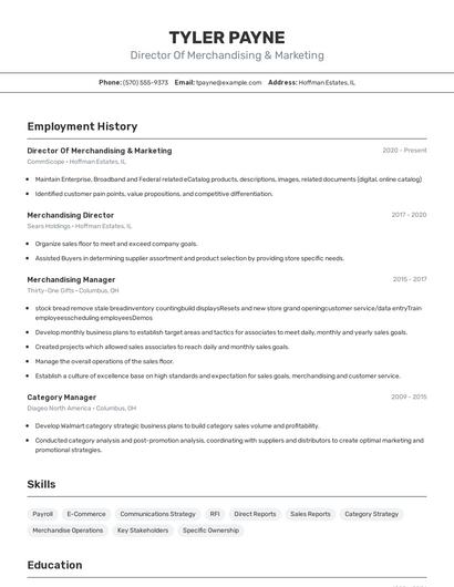 Director Of Merchandising & Marketing Resume