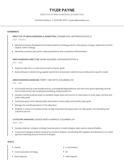 Director Of Merchandising & Marketing Resume