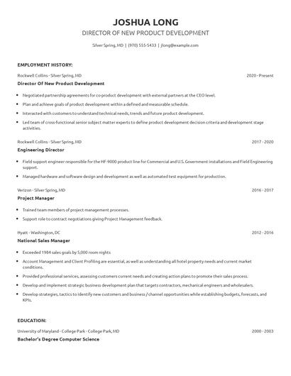 Director Of New Product Development Resume