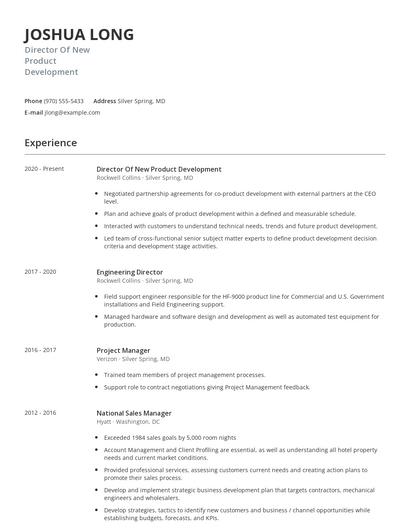 Director Of New Product Development Resume