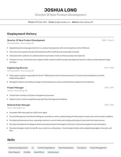 Director Of New Product Development Resume