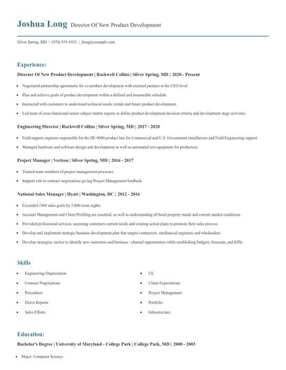 Director Of New Product Development Resume